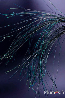 Anhänger Pfauenfaden - 15-28 cm - blau-naturgrün